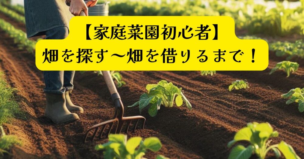 家庭菜園スタートアイキャッチ