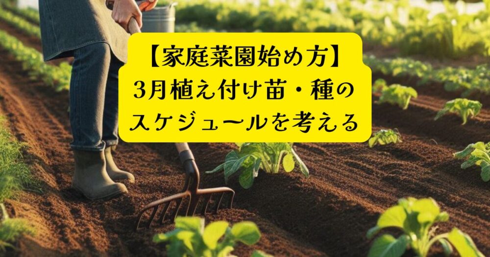 家庭菜園スタート