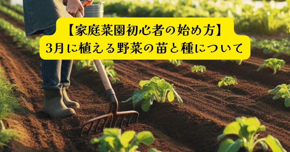 家庭菜園スタート