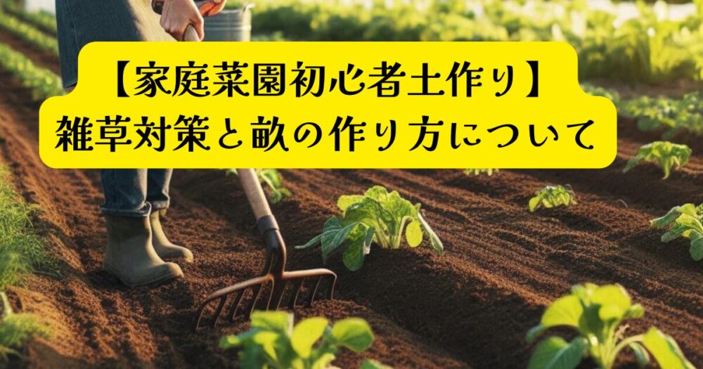 土作り畝作り