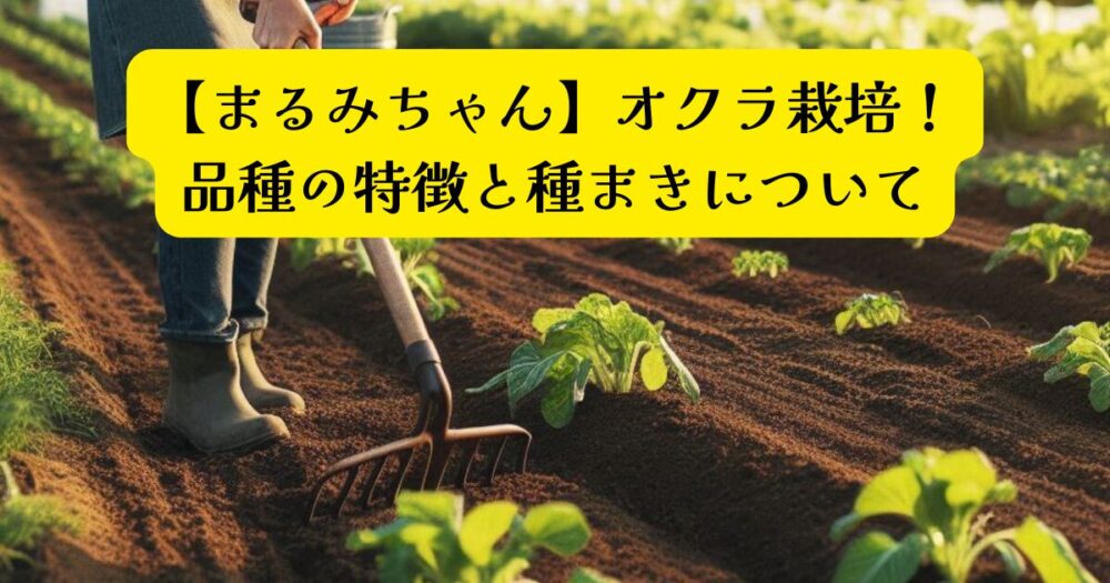 オクラの種類