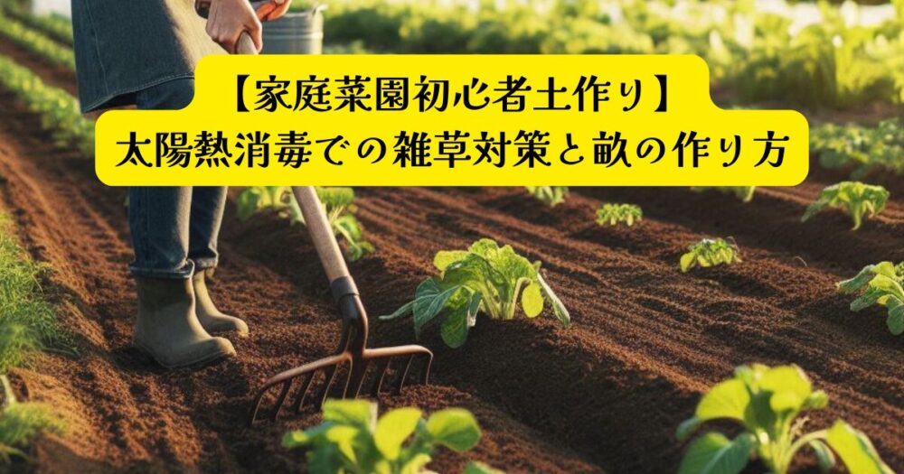 土作り畝作り