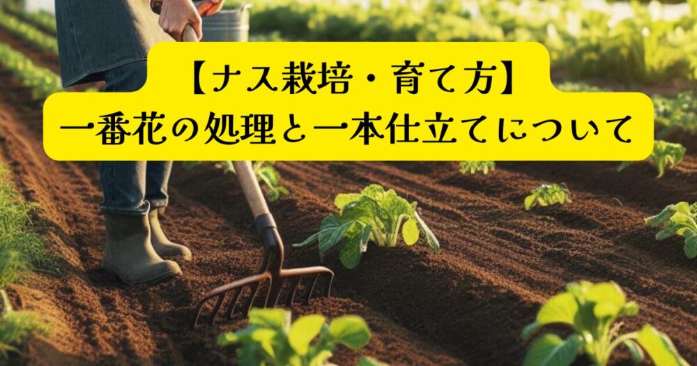 ナスの育て方