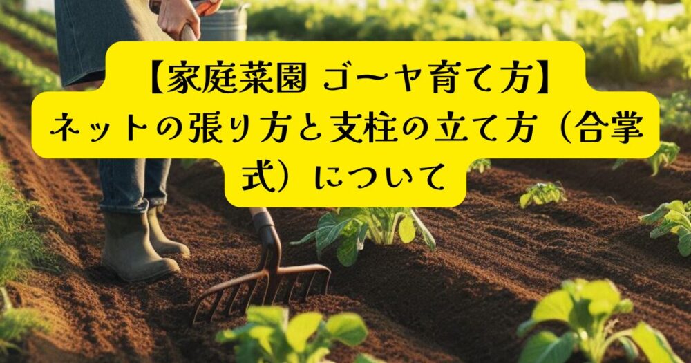 ゴーヤ育て方