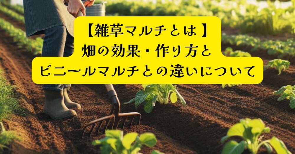 マルチング効果