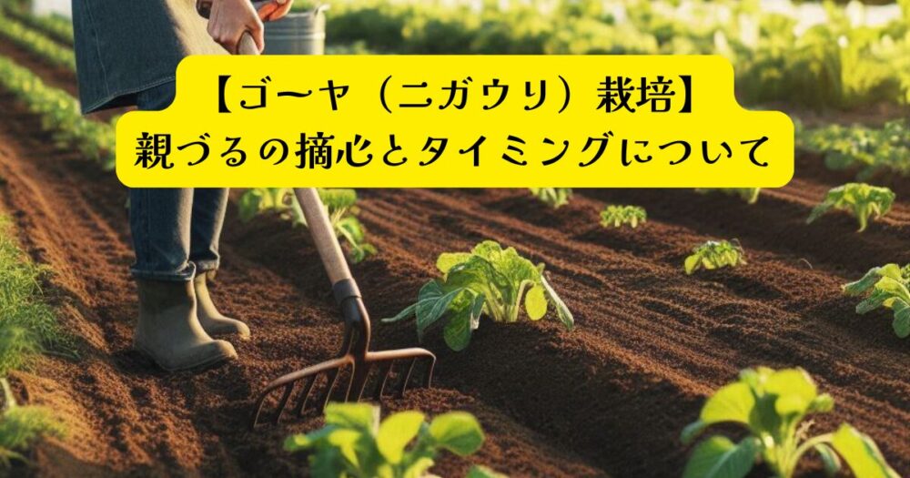 ゴーヤの摘心アイキャッチ