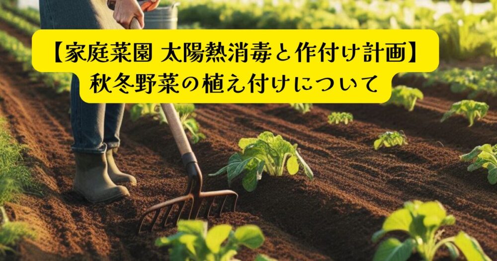 秋冬野菜プランアイキャッチ