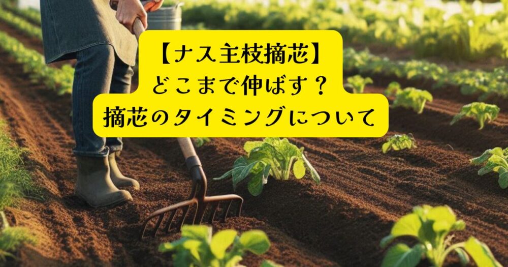 ナス摘芯タイミングアイキャッチ