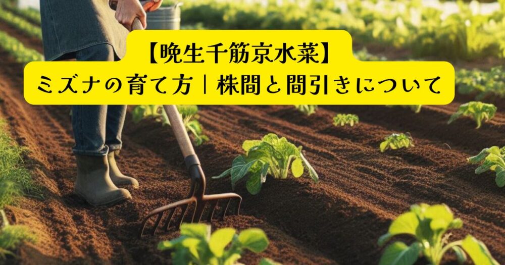水菜の育て方アイキャッチ
