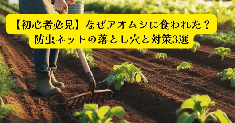 アオムシ対策アイキャッチ