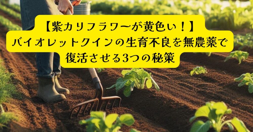 バイオレットクイン復活の秘策アイキャッチ