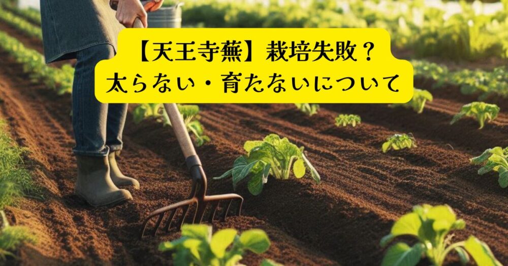 天王寺蕪失敗アイキャッチ