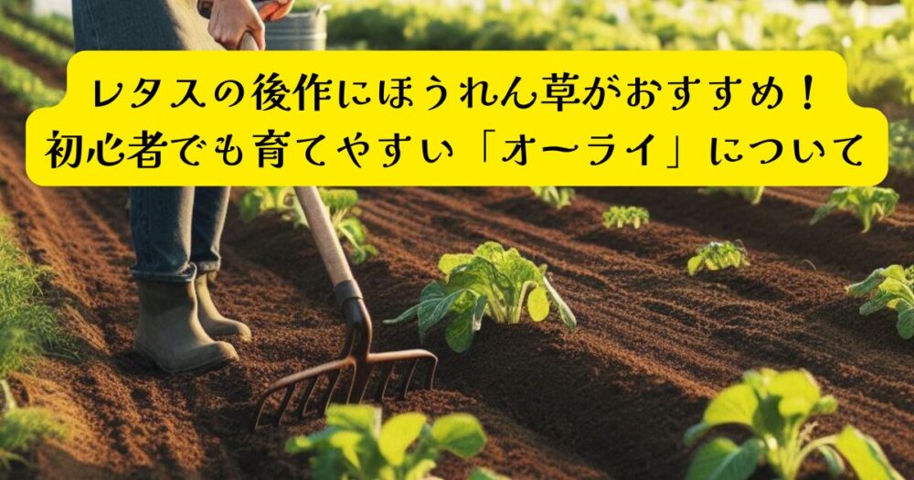 レタスからほうれん草へアイキャッチ