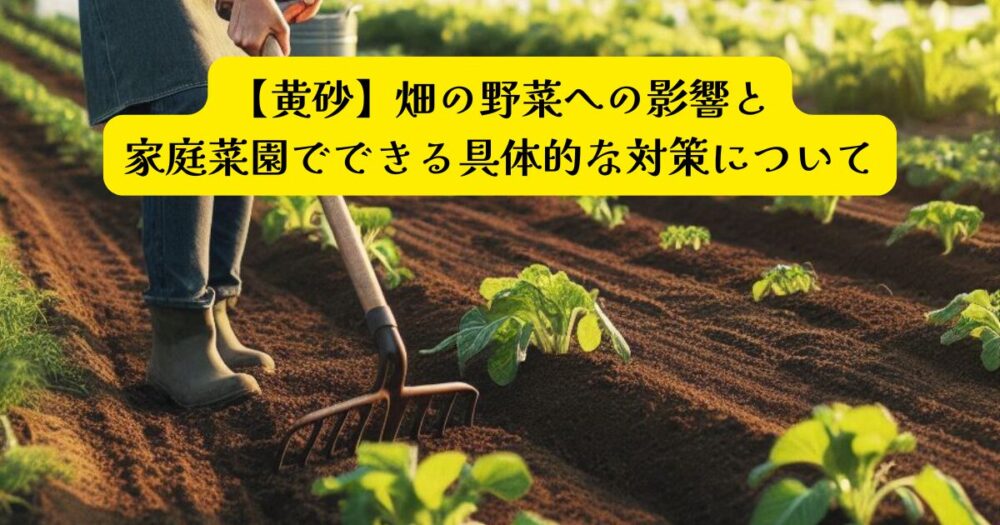 黄砂の家庭菜園のヒントアイキャッチ