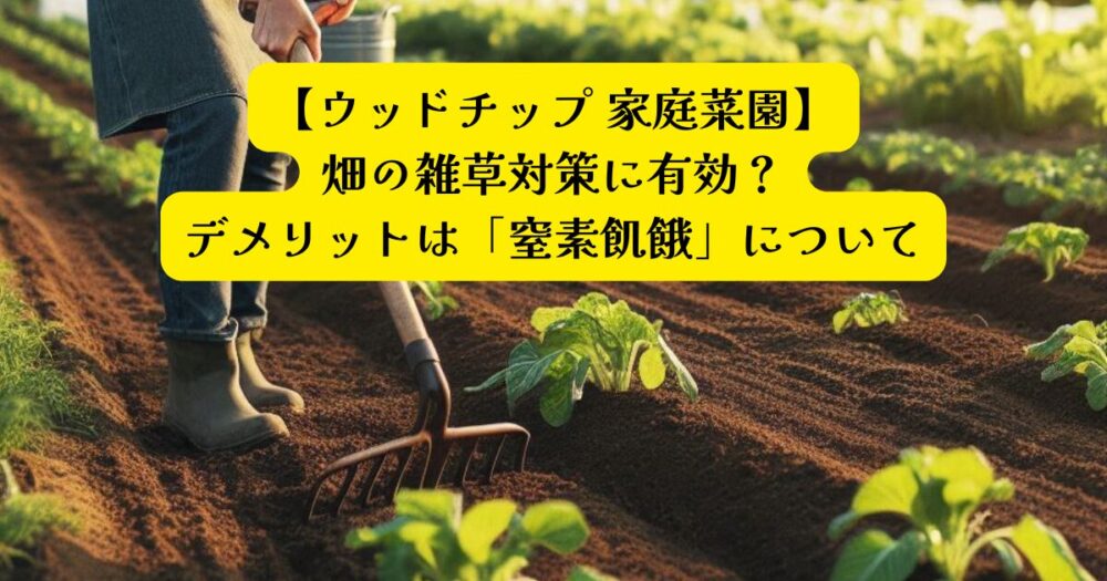 ウッドチップ雑草対策アイキャッチ