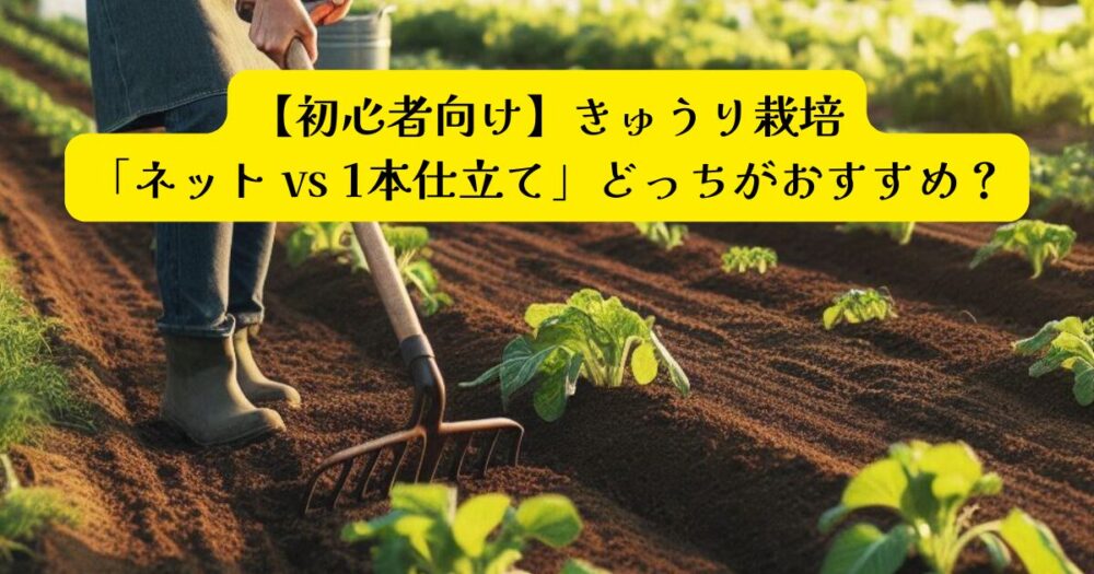 ネット栽培と1本仕立ての比較アイキャッチ