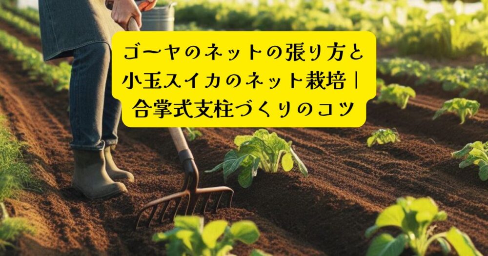 ゴーヤ・小玉スイカ合掌造りアイキャッチ