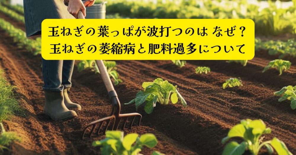 玉ねぎ波打ちアイキャッチ