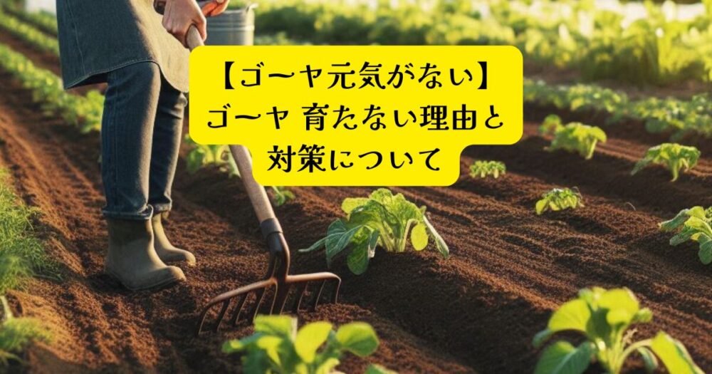 ゴーヤ元気ない低温ストレスアイキャッチ