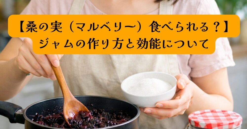 桑の実のジャムの作り方と効能アイキャッチ