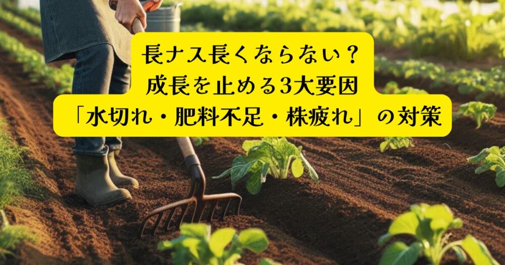 ナスが長く育たないアイキャッチ
