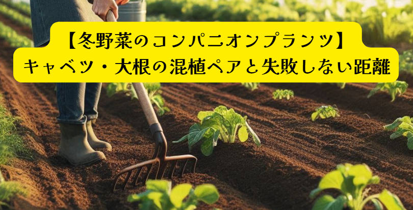冬野菜コンパニオンプランツアイキャッチ