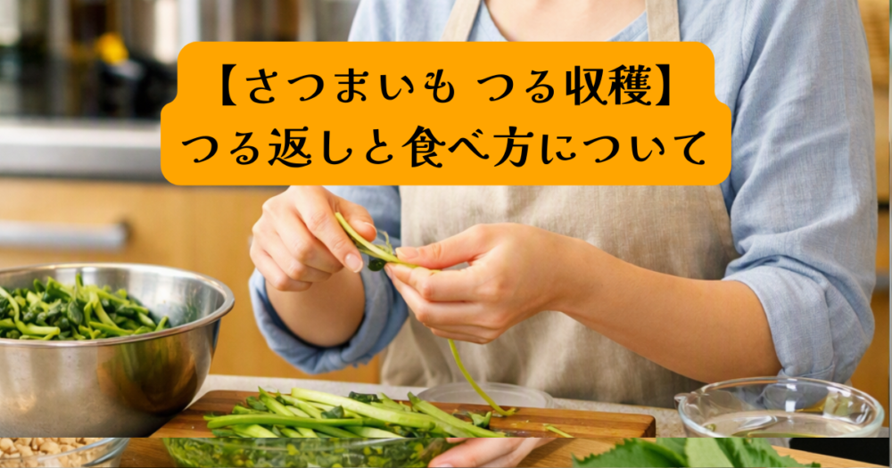 さつまいもつる収穫アイキャッチ